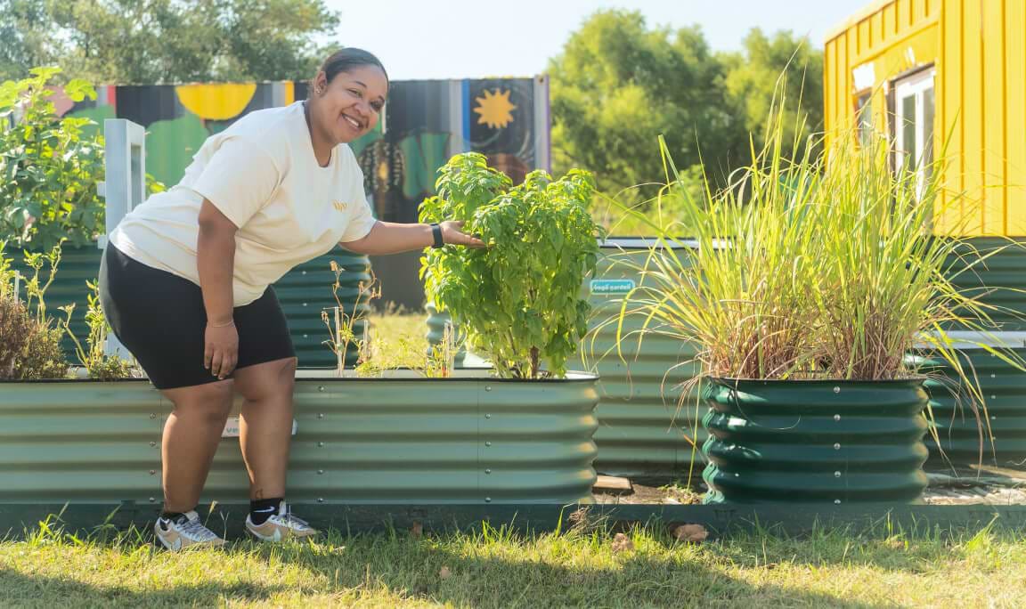 Vego garden beds