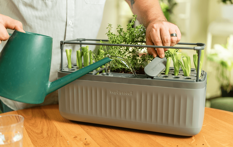 Vego garden beds