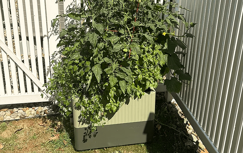 Vego garden beds
