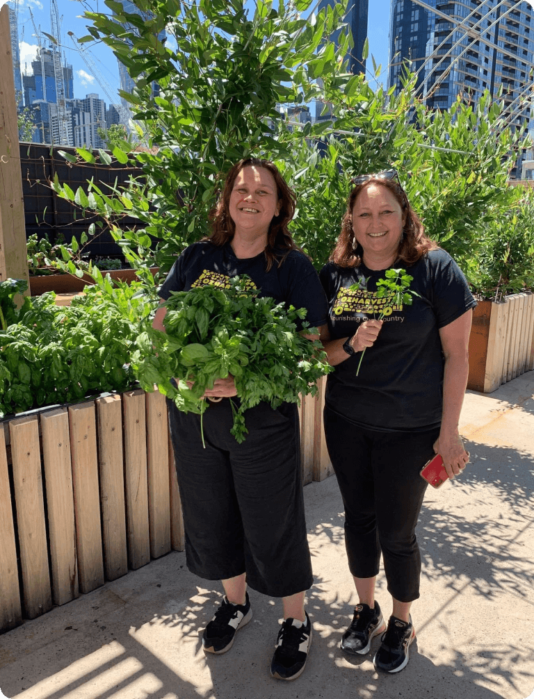 Vego garden beds