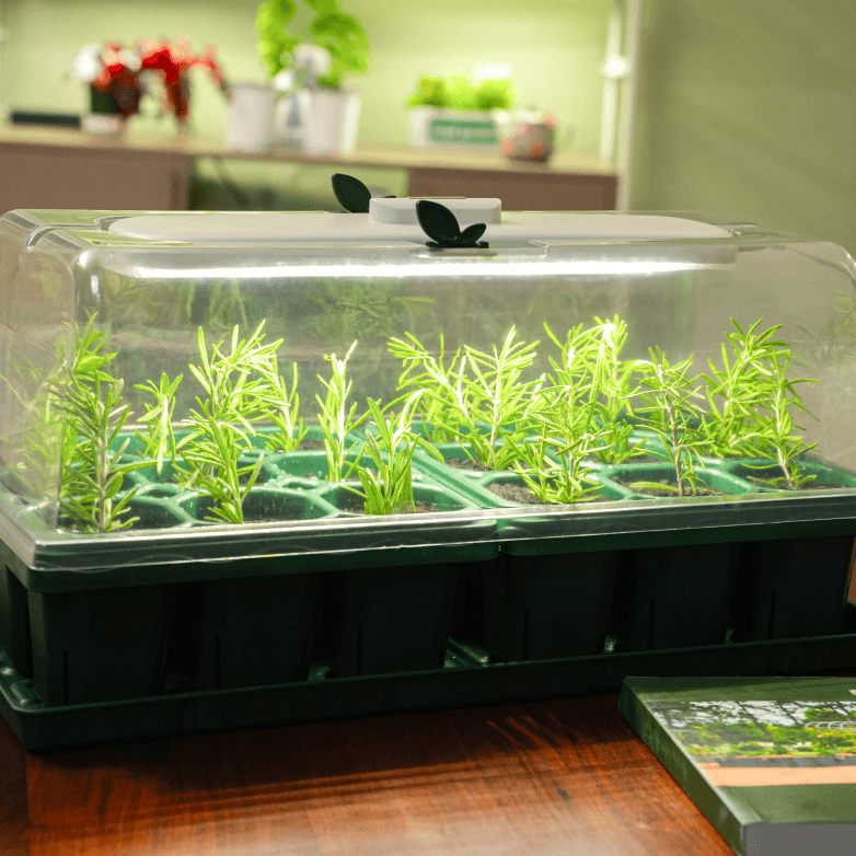 Vego garden beds