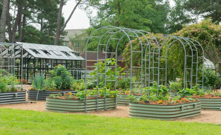 Vego garden beds