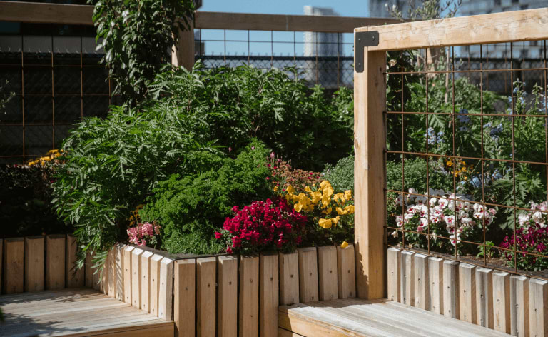 Vego garden beds