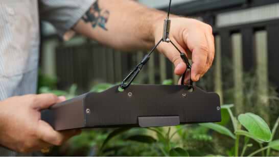 Vego garden beds