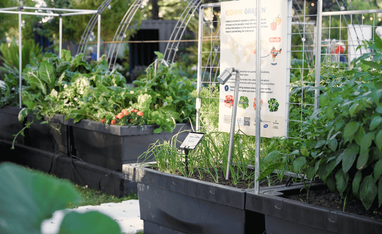 Vego garden beds