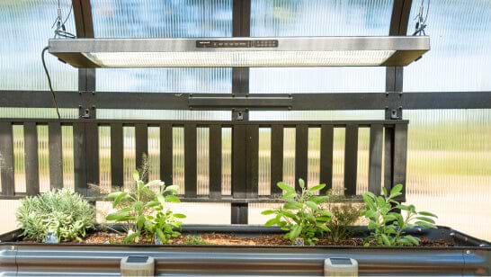 Vego garden beds