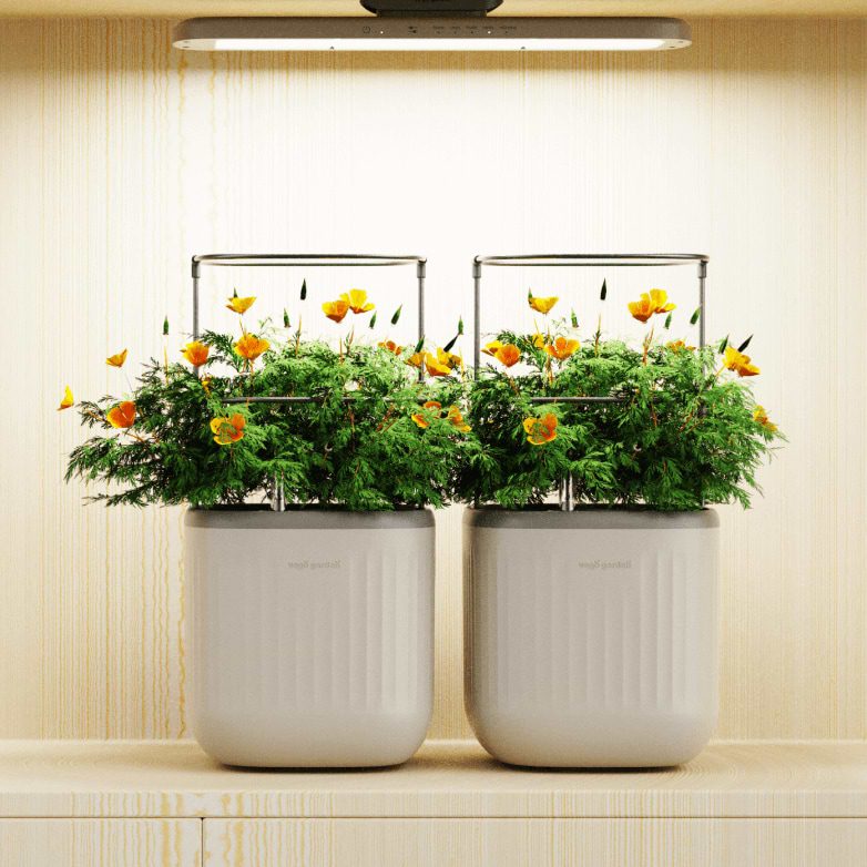 Vego garden beds