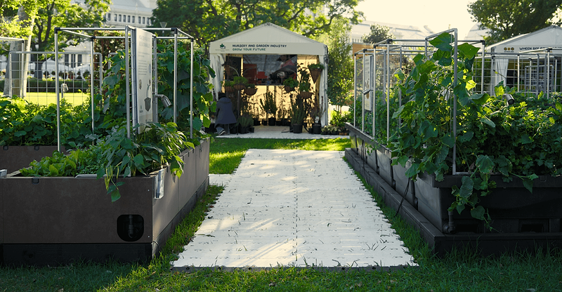 Vego garden beds