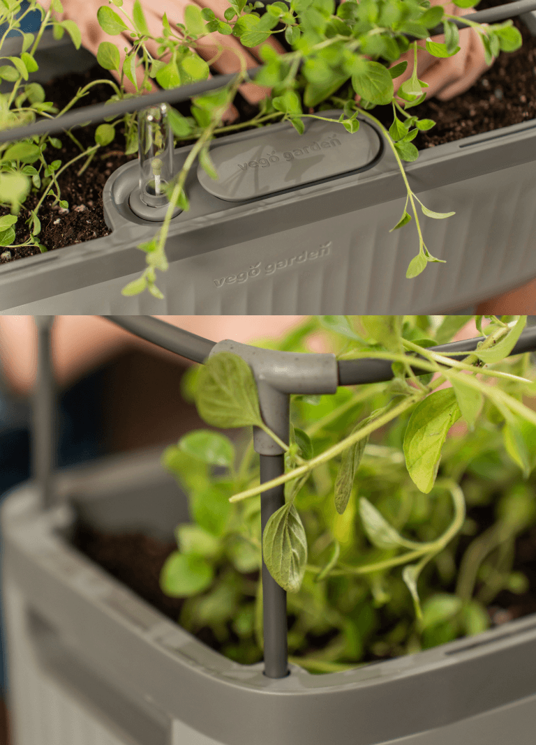 Vego garden beds
