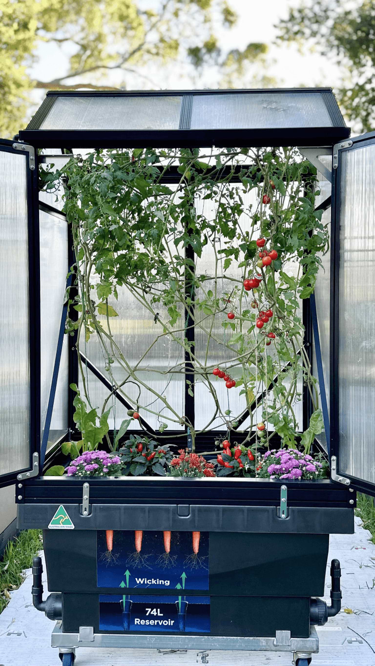 Vego garden beds