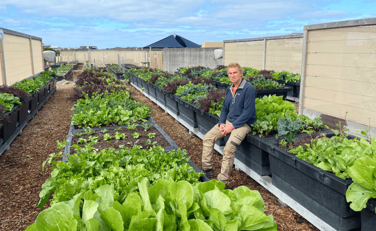 Vego garden beds