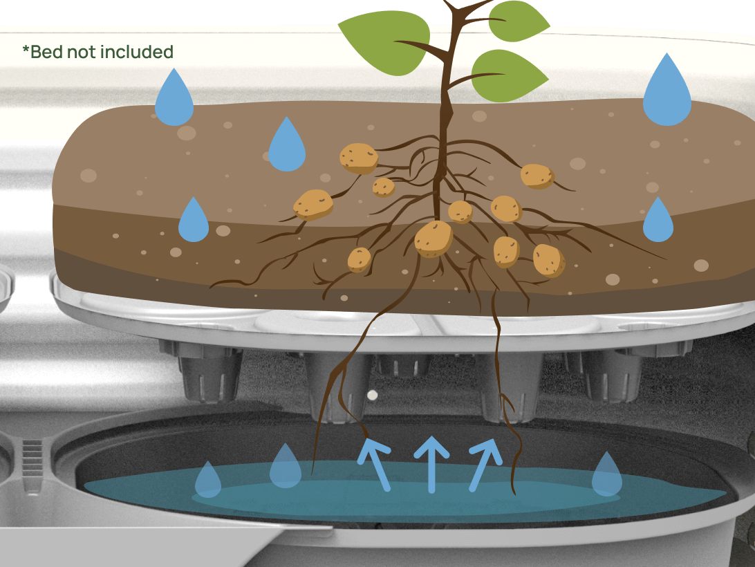 Water Circulation 