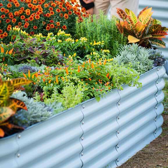Vego garden beds