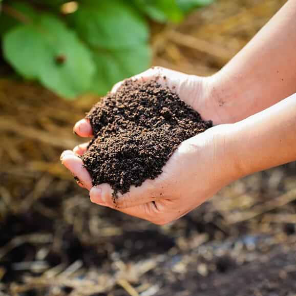 Vego garden beds