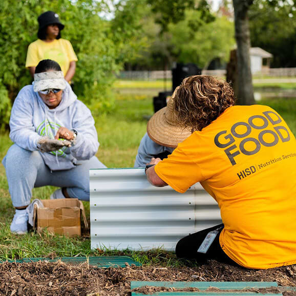 Vego garden beds