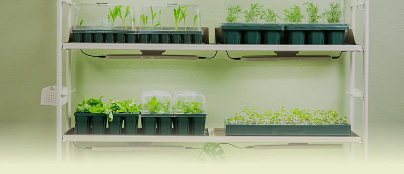 Vego garden beds