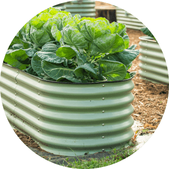 Vego garden beds