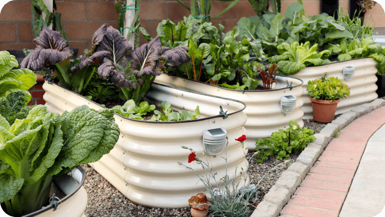 Vego garden beds