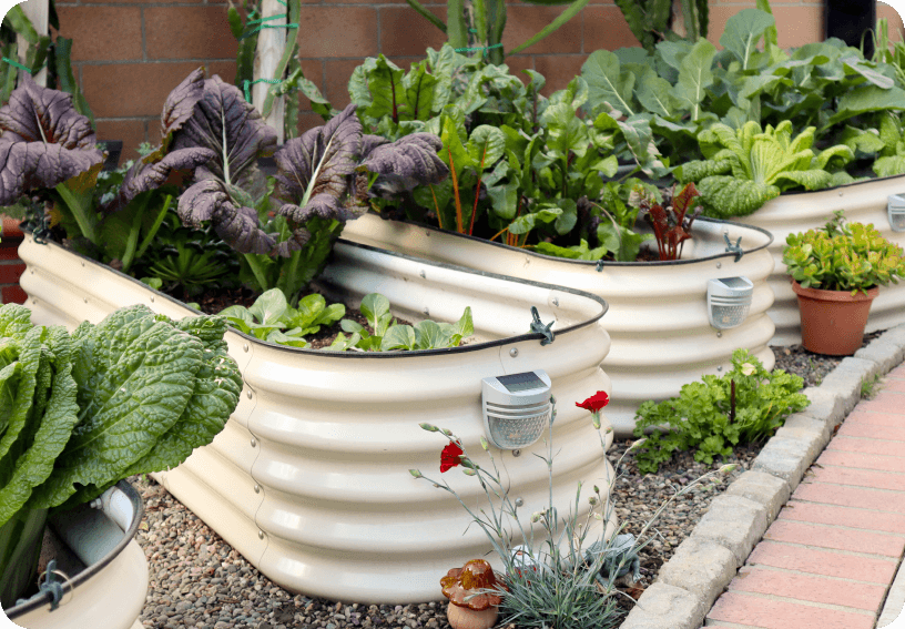 17" Tall Raised Garden Beds