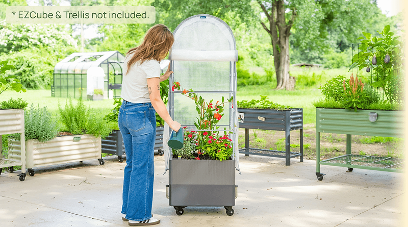 Vego garden beds