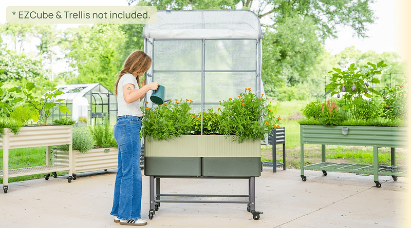 Vego garden beds