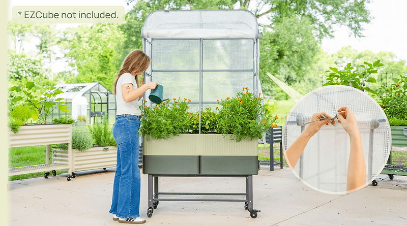 Double-Duty Trellis Support