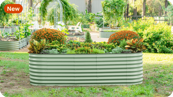 Vego garden beds