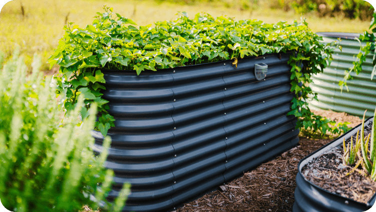 Vego garden beds