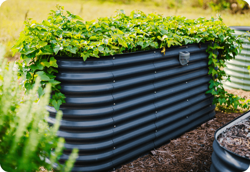 32" Tall Raised Garden Beds