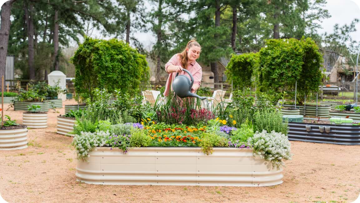 Vego garden beds