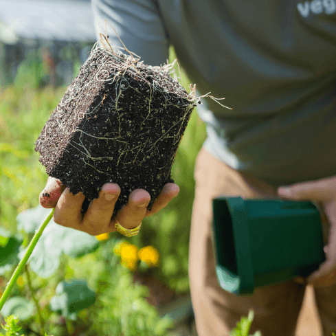 Vego garden beds