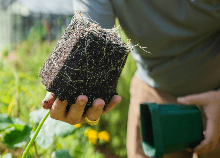 A Better Way to Grow