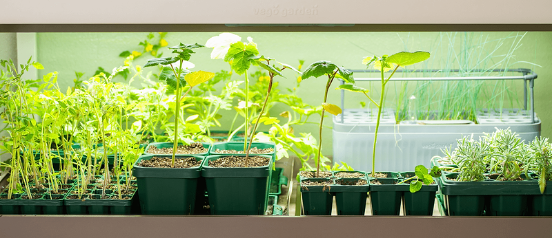 A Better Way to Grow