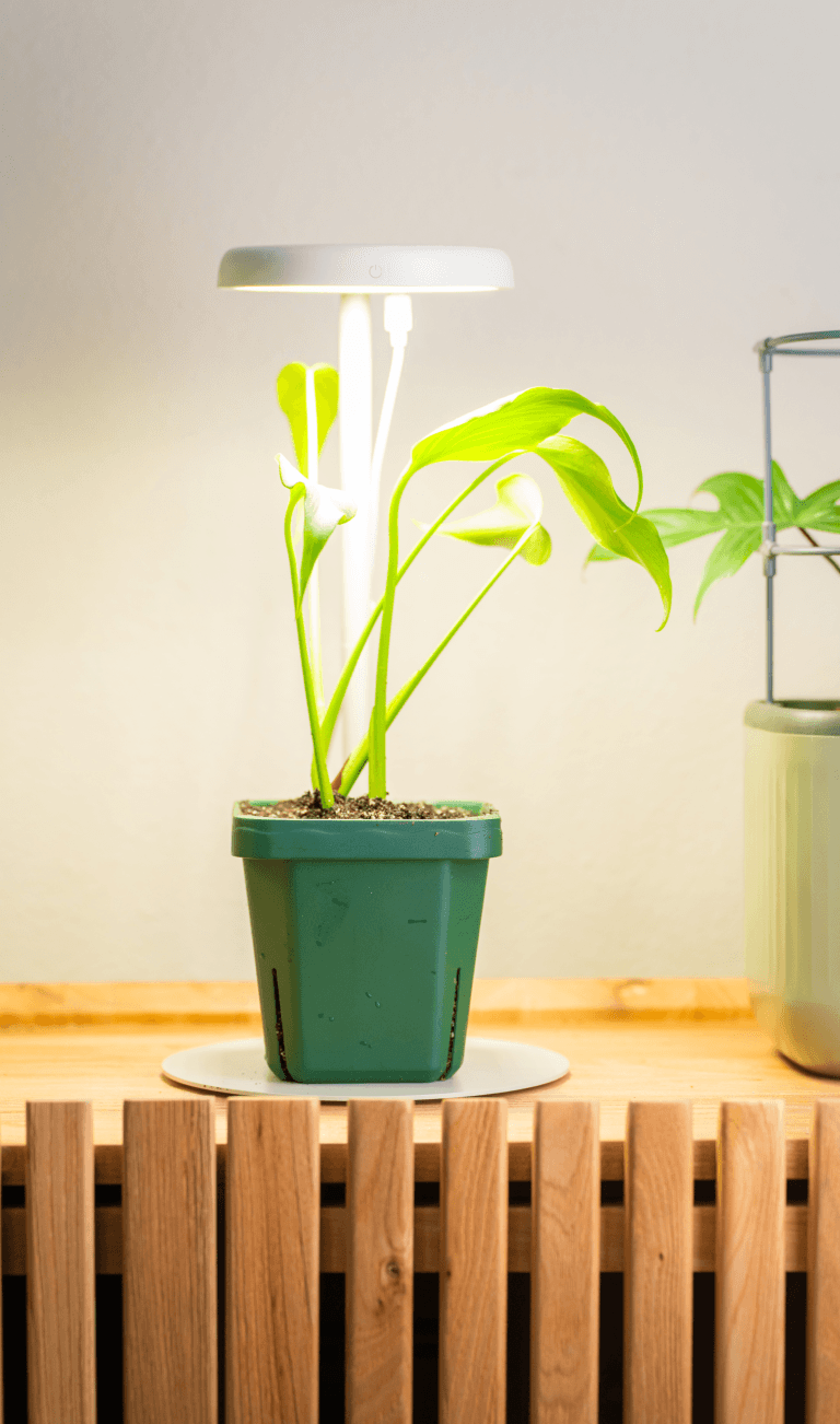A Better Way to Grow