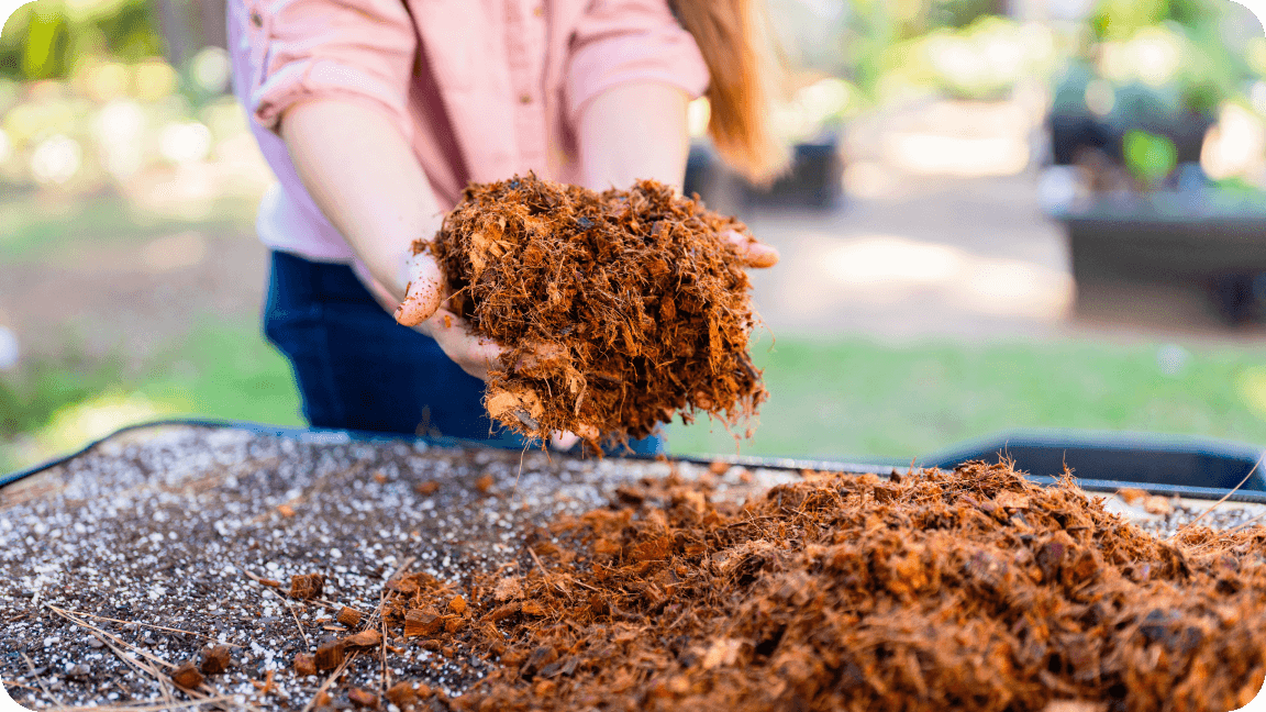 A Different Way to Mulch