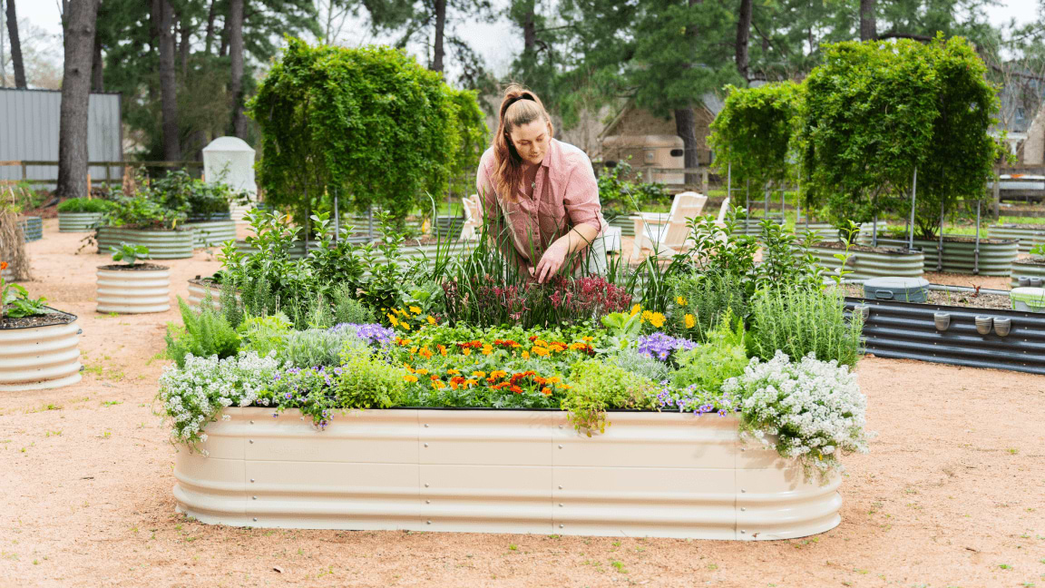 Vego garden beds