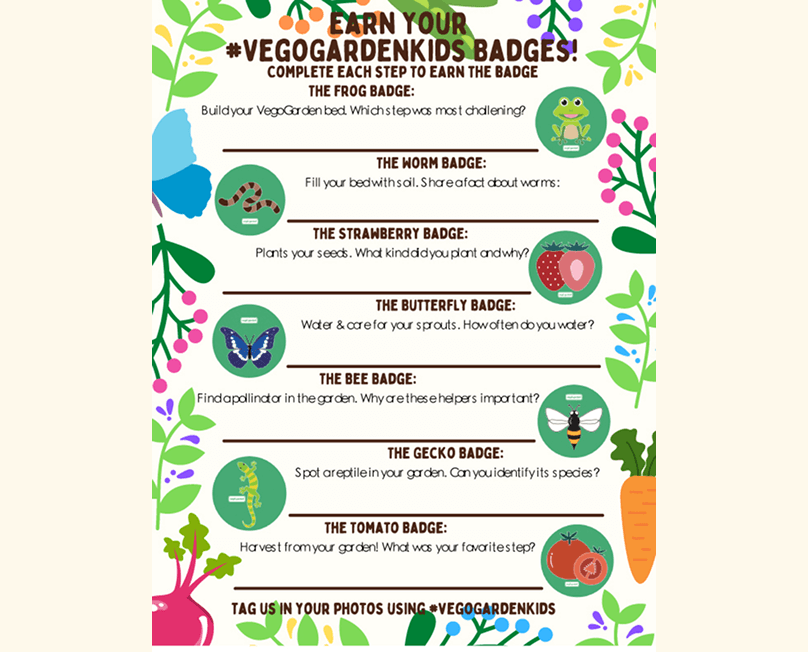 Vego garden beds