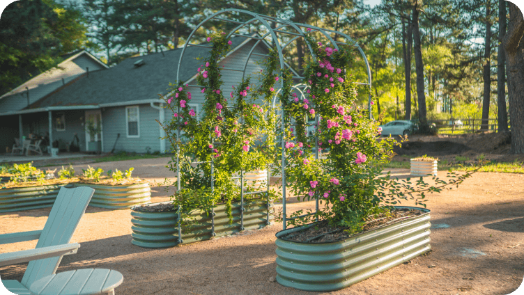 Vego garden beds