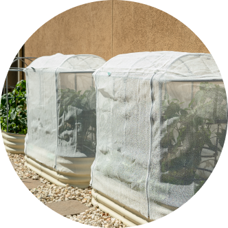 Vego garden beds
