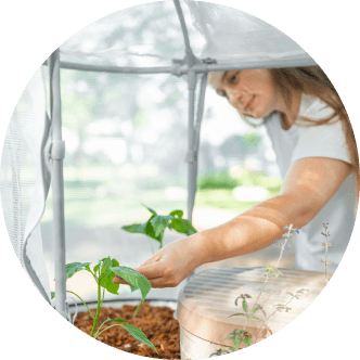 Vego garden beds