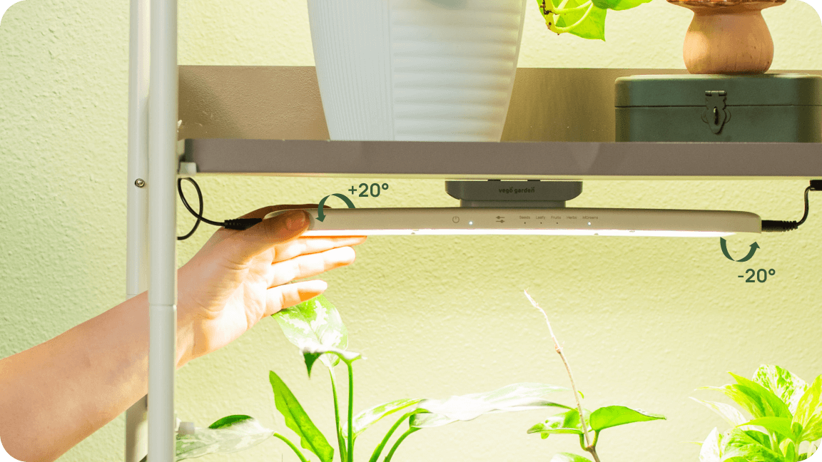 Adjustable Light Angle