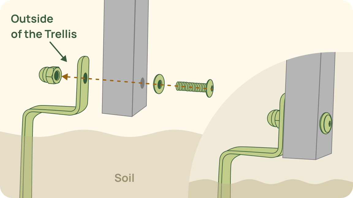 Attach Anchors to the Trellis