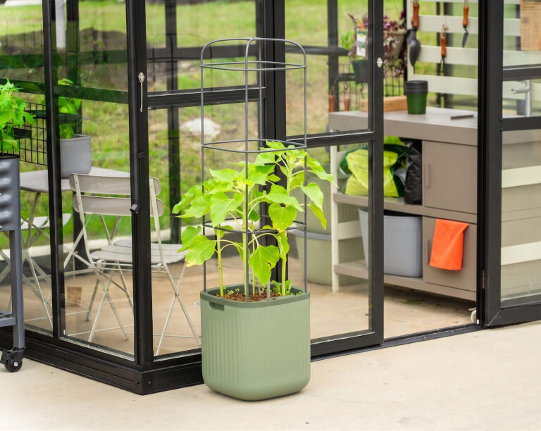 Vego garden beds