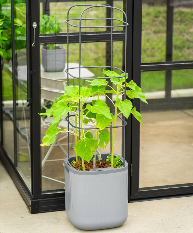 Vego garden beds