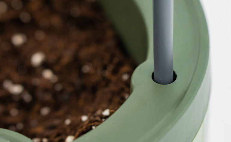 Vego garden beds