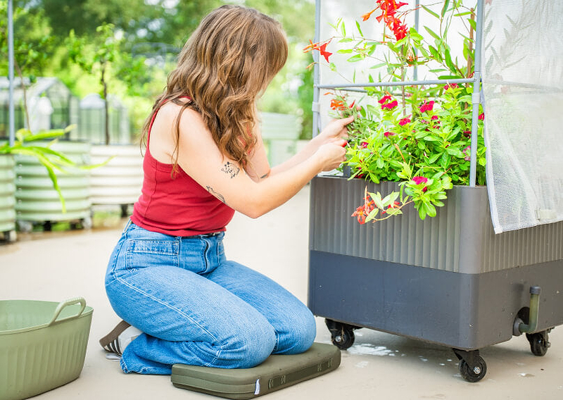 Vego garden beds