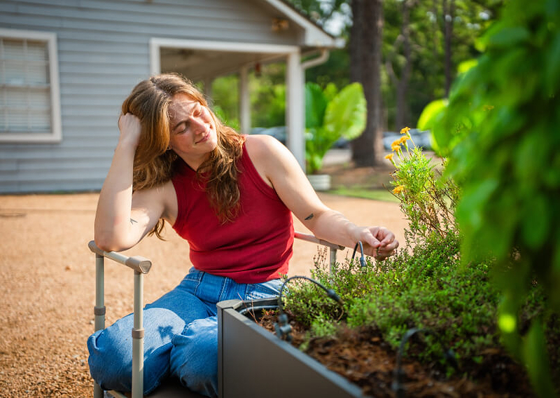 Vego garden beds