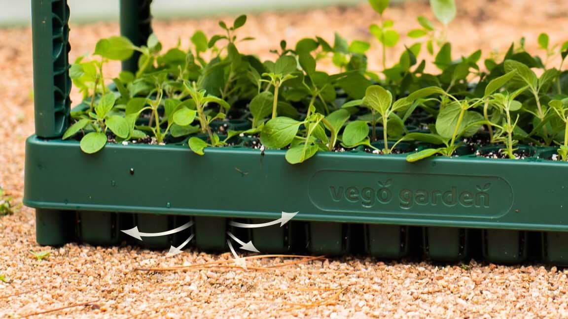 Vego garden beds