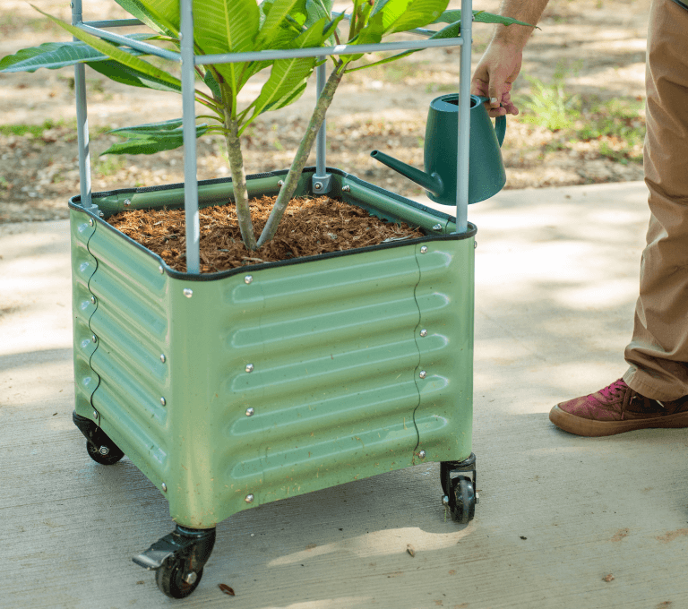 Vego garden beds