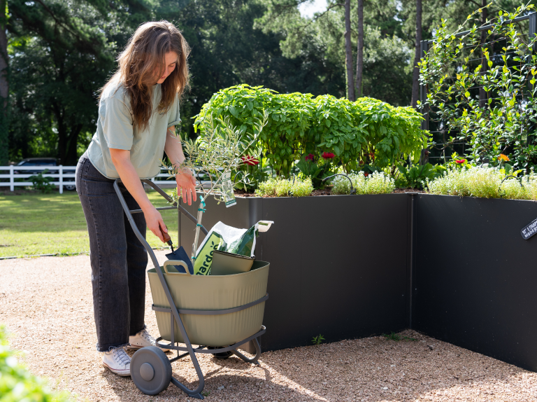 Vego garden beds